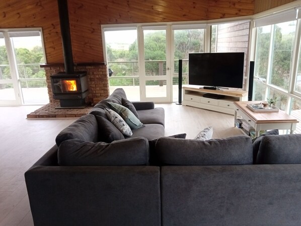 Smart TV, fireplace, video games, Netflix