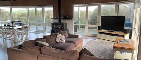 Smart TV, chimenea, videojuegos y Netflix
