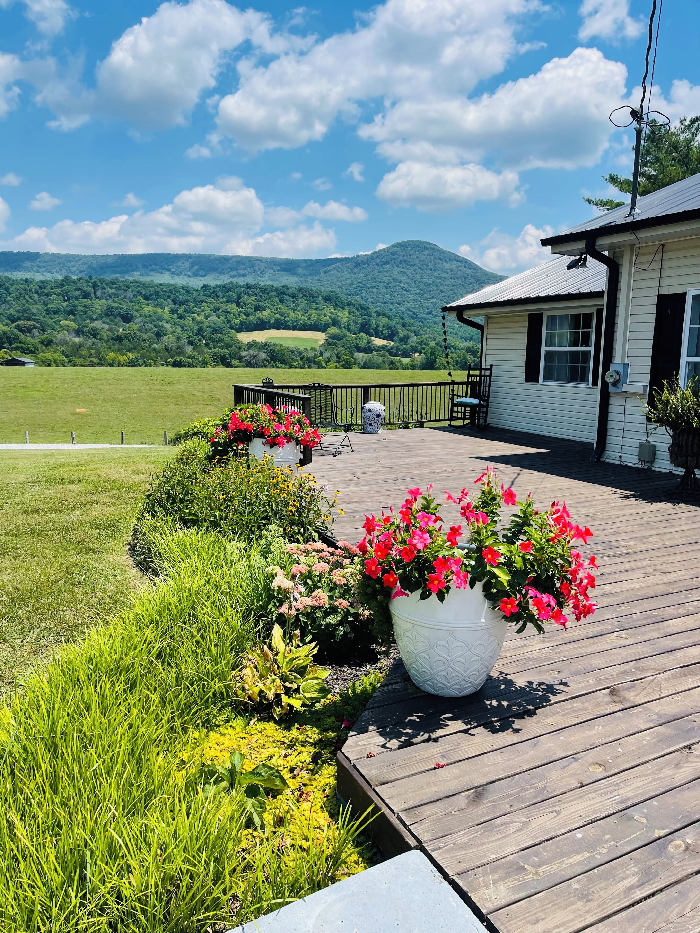 Carolyn’s Acres Farm & Incredible Mountain Views