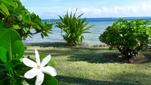 A garden with a white flower, green plants, and a view of the sea. - Premium Suite, lagoon view, 2 bedrooms, kitchen, bathroom (Moorea)