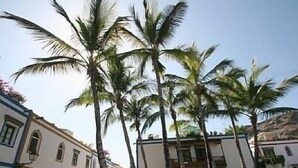 A street lined with palm trees and white buildings with arched windows and doors. - Beautiful three bedroom apartment with shared swimming pool and WIFI (Puerto de Mogan)