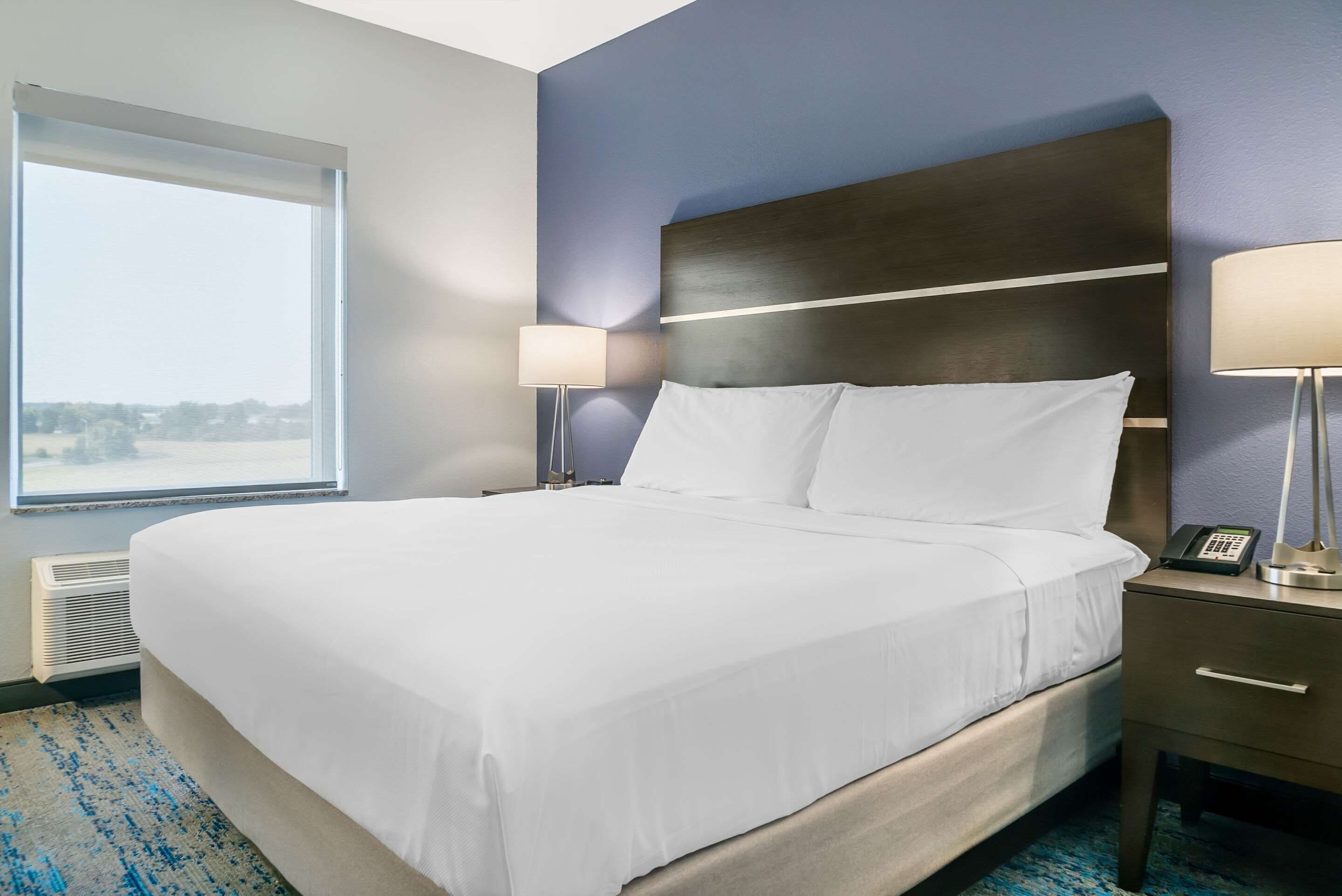 suite, 1 king bed with sofa bed, non smoking | desk, blackout curtains, iron/ironing board, free cots/infant beds