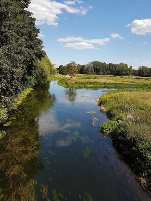 Unclassified image, 3 of 34, button