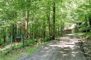A forested area with a gravel path leading to a cabin. - Harvest Moon - Lake Access, Wooded Lot, Hot Tub! (Davis)