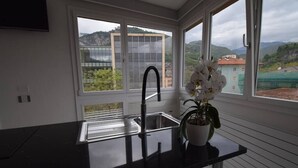 Una cocina moderna con encimera negra, pileta de acero inoxidable y una orquídea en maceta.