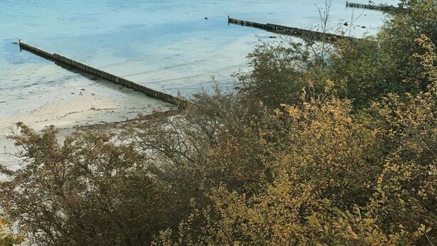Eine Küstenlandschaft mit einem Sandstrand, einer hölzernen Pier, die sich ins Wasser erstreckt, und dichtem Grün im Vordergrund.