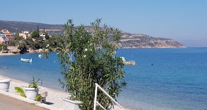 Sunrise 3 Apartment - Beautifully Located Air Conditioned 1 Bedroom Above Beach