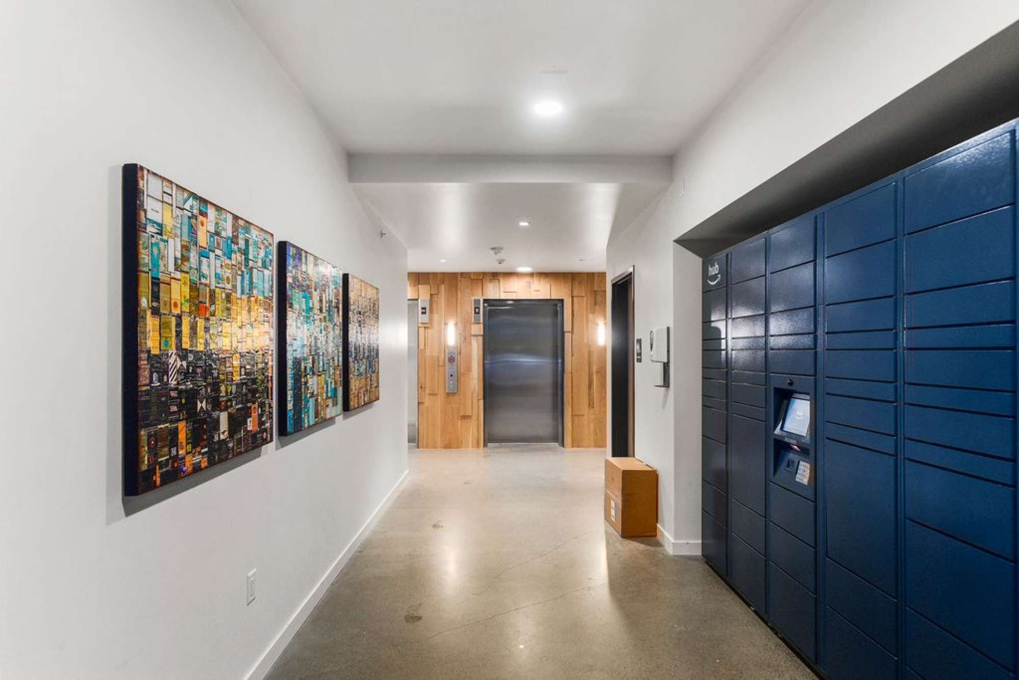 A hallway with a wooden door, a blue locker, and a wall-mounted artwork.