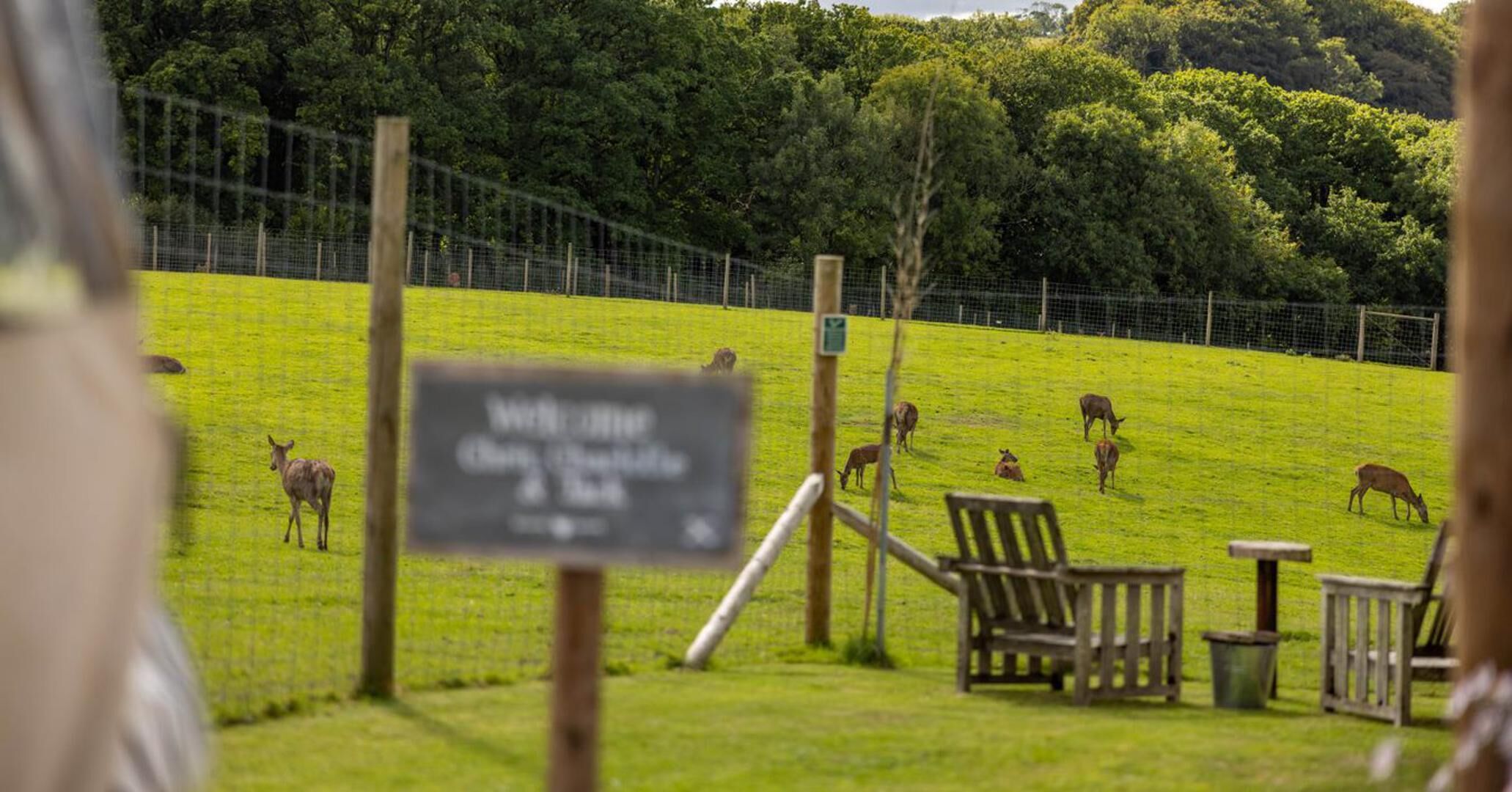 A grassy field with a fence, a sign, and wooden chairs and tables.