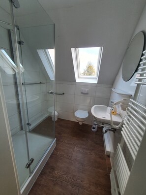 Bathroom features a glass-enclosed shower, toilet, and sink with a mirror above.
