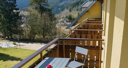 Le Bois Joli en Chartreuse