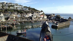 A coastal town with a harbor, houses on a hillside, and boats docked.