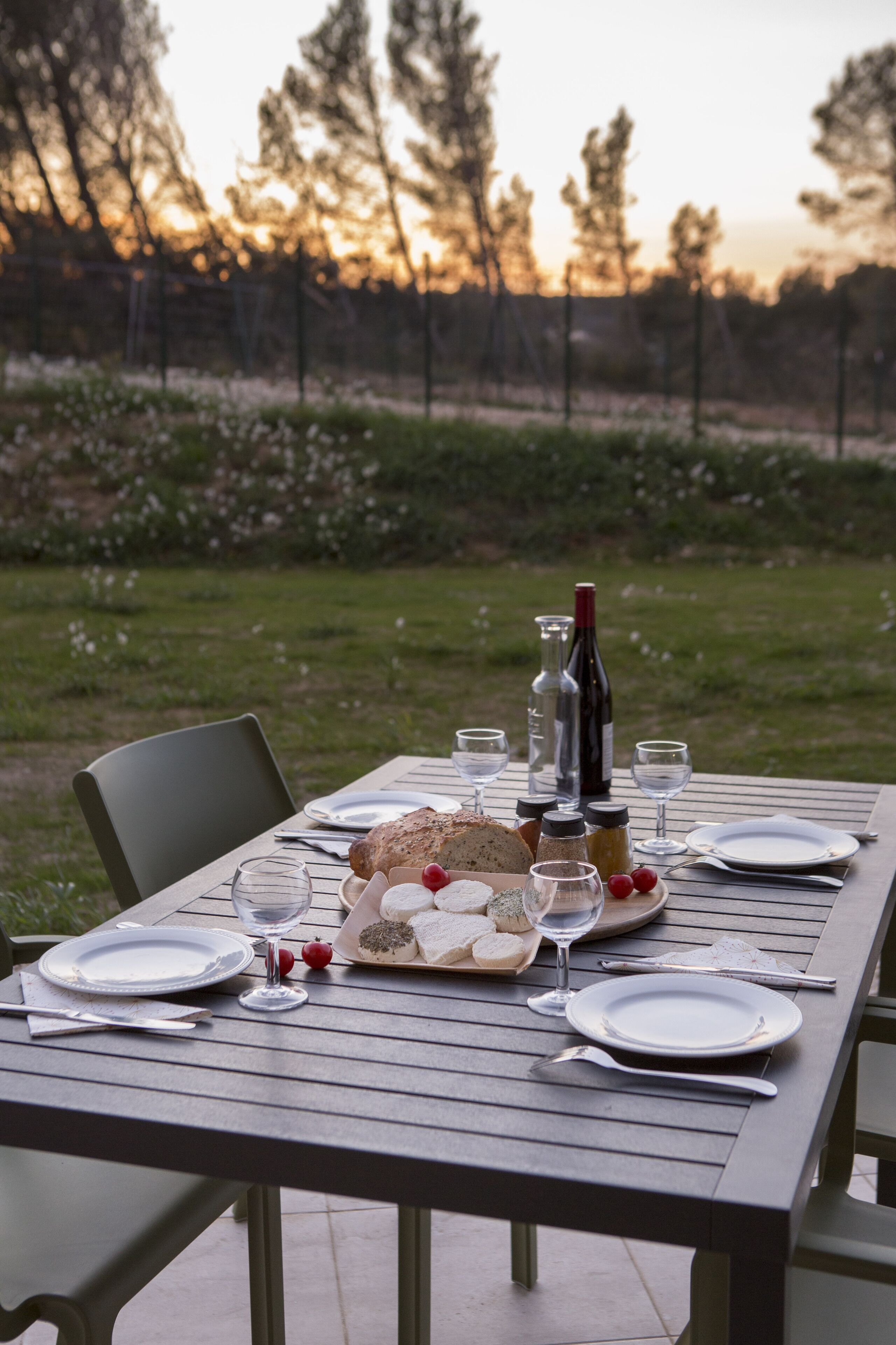Une table dressée à l’extérieur, avec des assiettes, des verres, du pain et des bouteilles de vin, entourée de chaises et d’une pelouse, avec des arbres en arrière-plan.