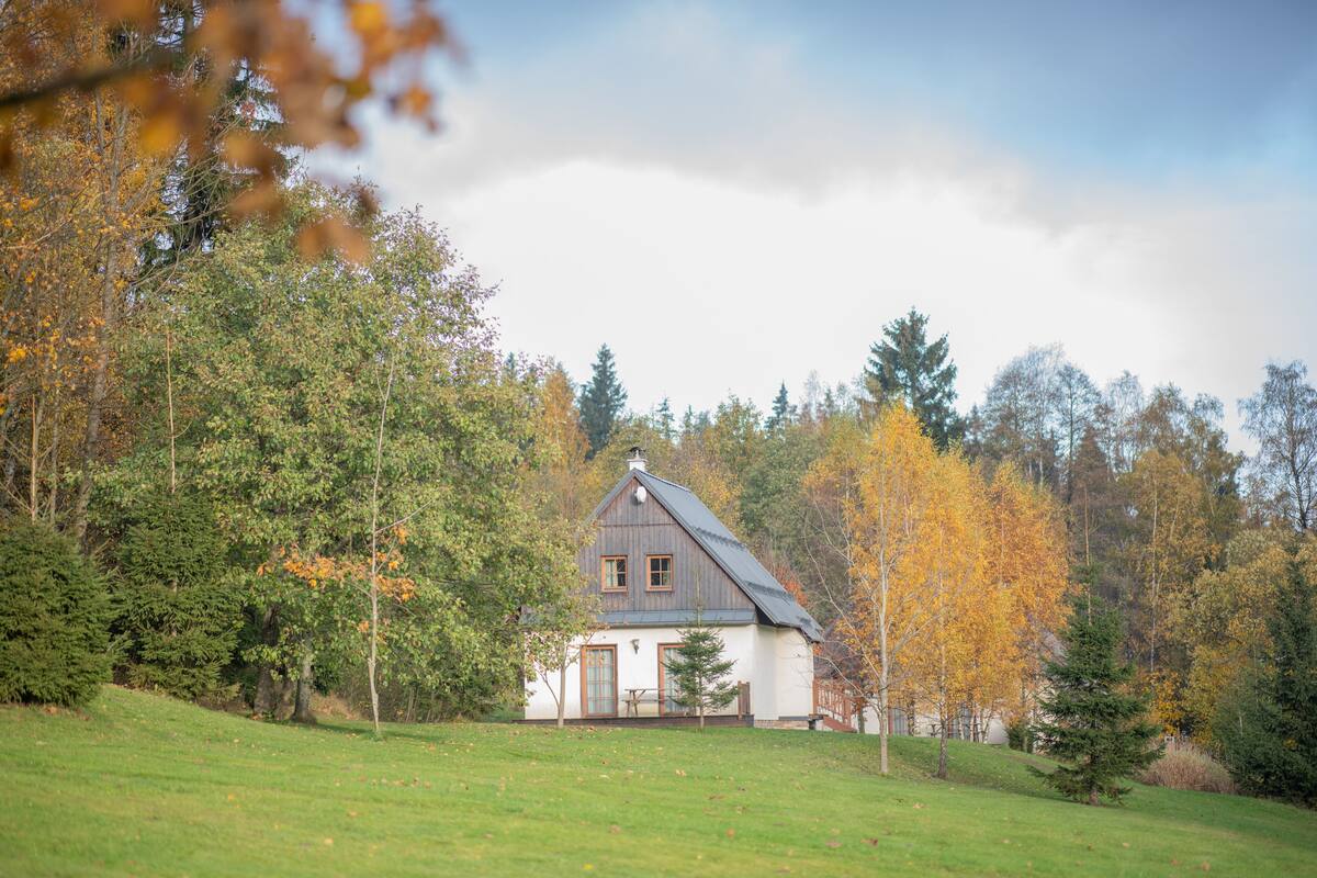 A house with a sloped roof, surrounded by trees and a grassy area.