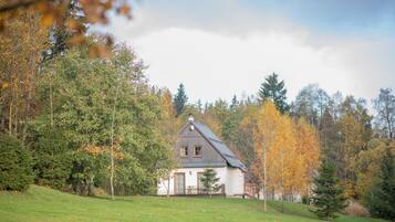 A house with a sloped roof, surrounded by trees and a grassy area.