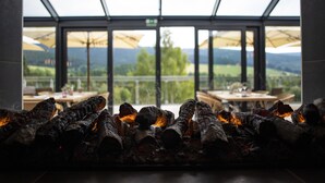 Una estructura con fuego, leña, cerramiento de vidrio y vistas al exterior.
