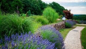 A garden pathway with lavender and green grass, a stone wall, and a brick path.