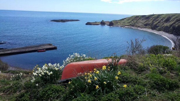 A coastal landscape with a clear view of the sea, a red structure, and yellow flowers in the foreground. - Wagtail Lodge Boutique Country House B&B, Stonehaven (Stonehaven)