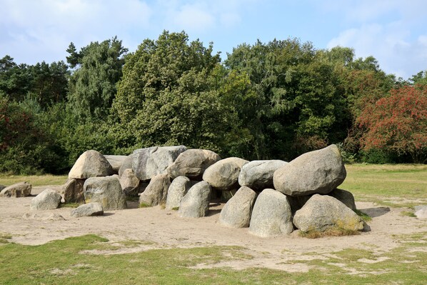 Un paisaje natural con grandes rocas y árboles densos al fondo.