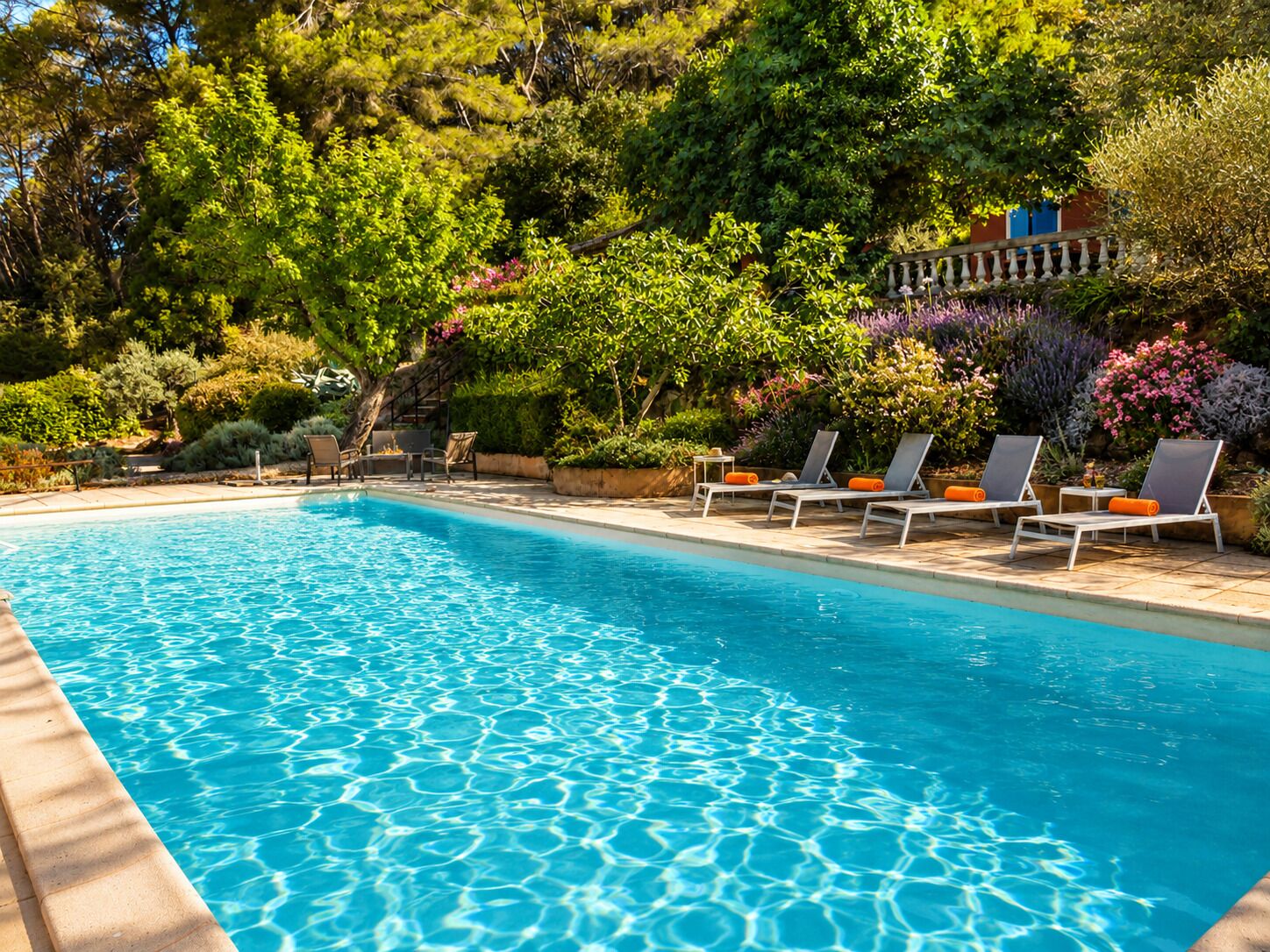 A clear swimming pool with lounge chairs and a variety of plants and trees around.