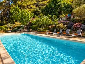 Outdoor pool - Provençal Villa with Large Pool • 9000 m² of Nature • Total Privacy (Draguignan)