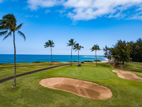 Un campo de golf con vistas despejadas al océano y palmeras.