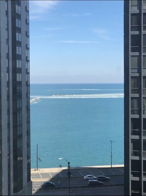 View from property - MAG MILE MEGA Entire Floor 4BD 4BA +Rooftop&Gym (Chicago)