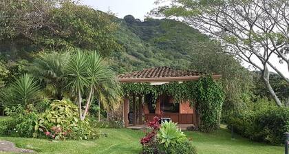 Amazing City Views Guest house in EscazĂș