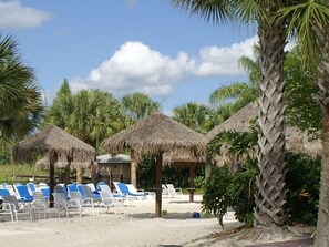 Condo (611 Lucaya ) | Beach