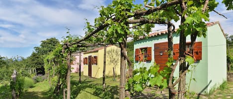Área da propriedade