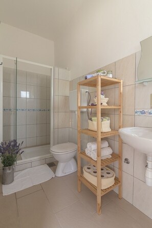 Shower, hair dryer, soap, toilet paper