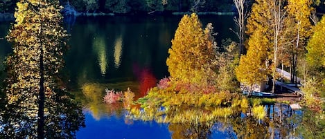 المنطقة المحيطة بالمنشأة