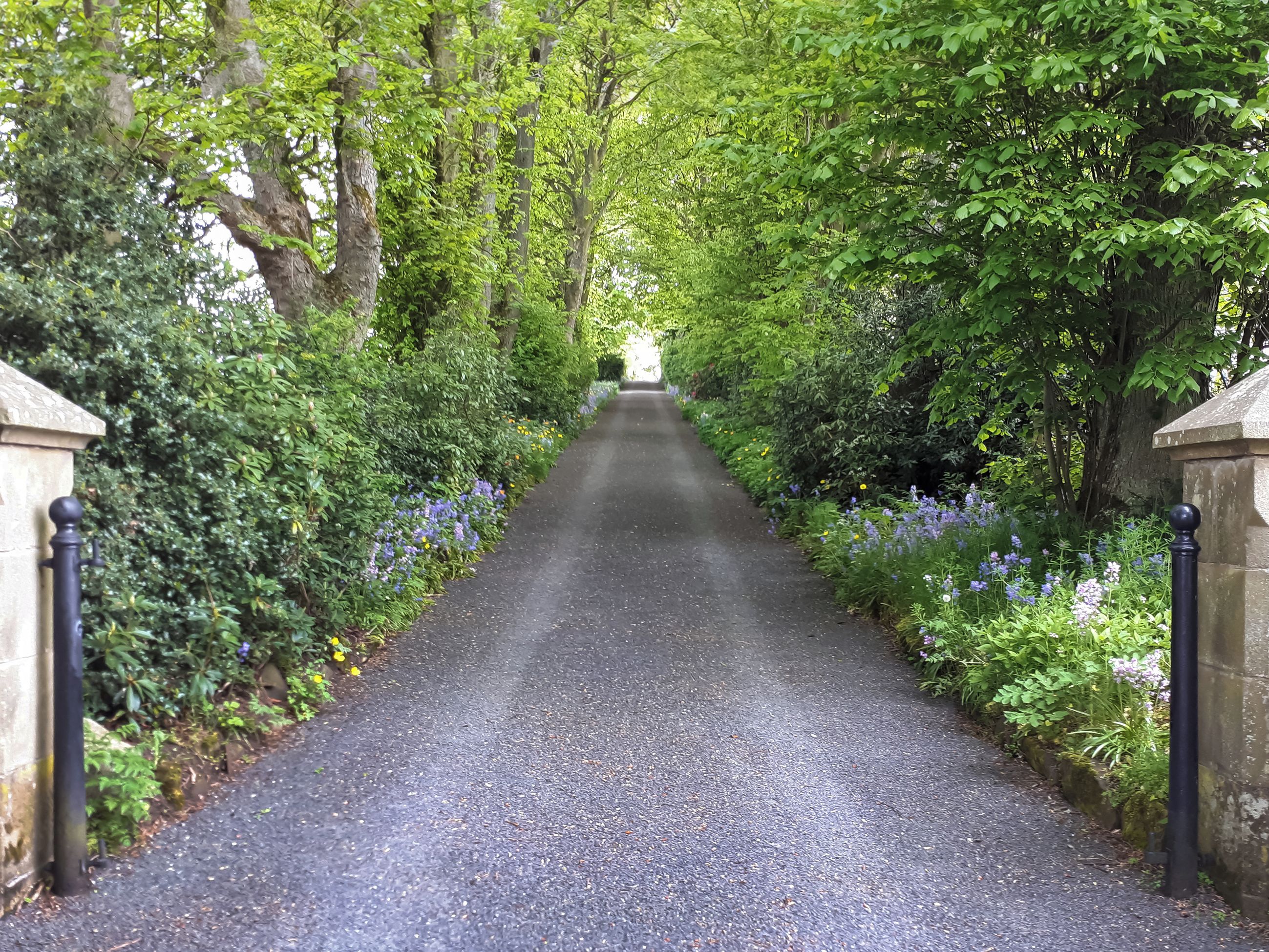 A paved pathway flanked by lush greenery and stone walls.