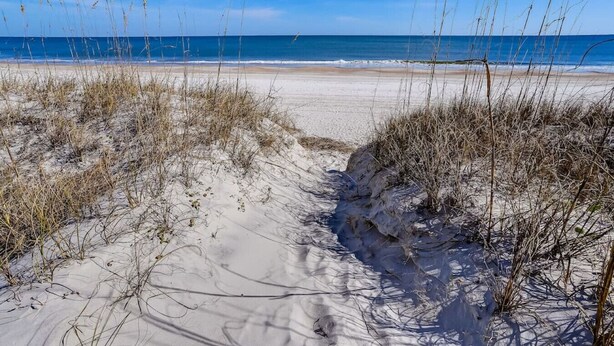 Ein sandiger Strand mit spärlicher Vegetation und freiem Blick auf das Meer.