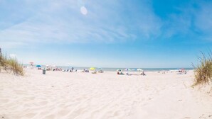 Beach - Sand Dunes 602 (Myrtle Beach)