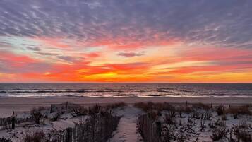 Playa en los alrededores