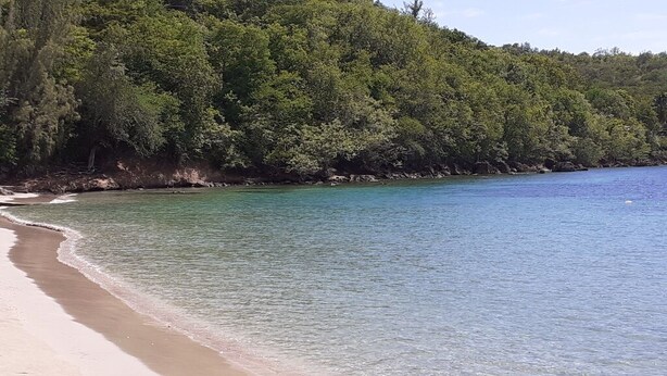 A beach with clear water and a forested hillside.