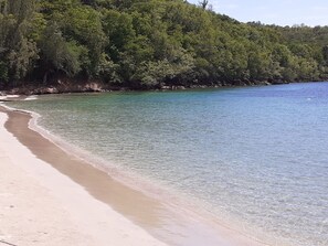 Ein Strand mit klarem Wasser und einer bewaldeten Hügelside.