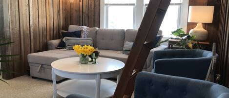 TV connectée, cheminée, lecteur de DVD, livres