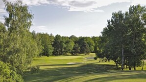 A golf course with a well-maintained fairway, sand bunkers, and dense trees. - Studio Forêt (Amnéville)