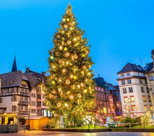 FORET studio trés coquet en rez de chaussée