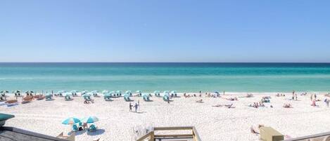 بالقرب من الشاطئ