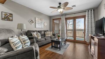 TV, fireplace, DVD player, video library