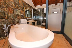 Bathtub, hair dryer, bidet, towels - VILLA SOFIA see front with pool and hot tub (Čara)