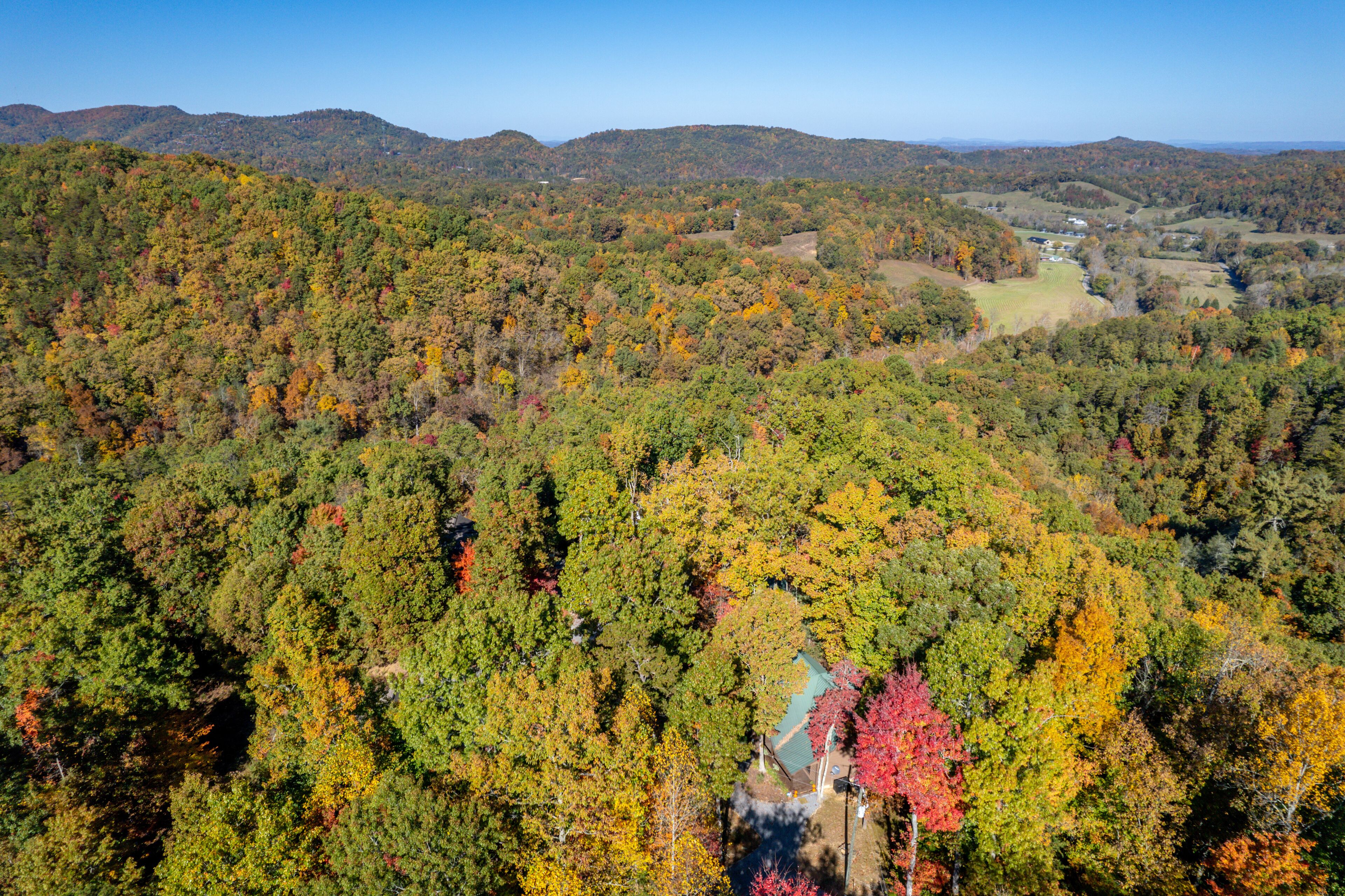An aerial view of a forested area with a small building surrounded by trees.