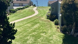 A residential area with houses, a curved driveway, and a view of the ocean. - Gorgeous Oceanview Home! Steps to Beach, Pool & Pickleball (Encinitas)