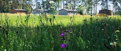 A grassy field with a few buildings in the background.