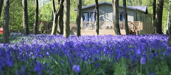 Hollicarrs - Wildflower Lodge