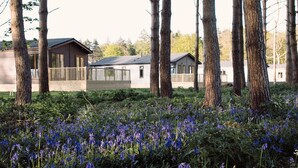A row of cabins with a forested area in the foreground. - Hollicarrs - Wildflower Lodge (York)