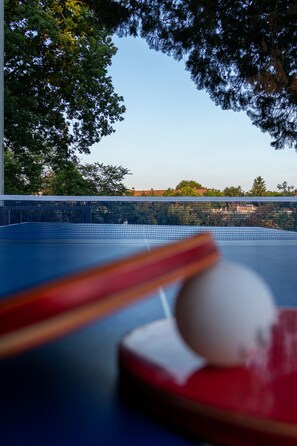 Sports court - Holiday house Vita (Svetvincenat)